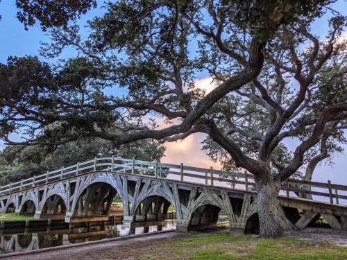 PXL 20210828 222638486.MP2 